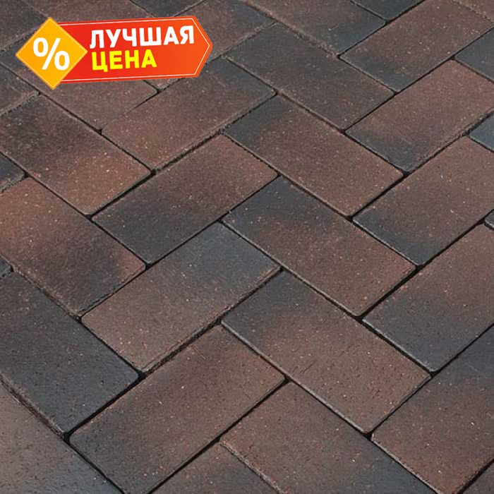 Клинкерная брусчатка Penter Emsland, 200x100x45 мм