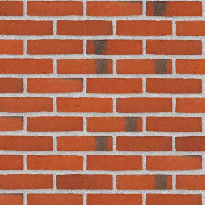 Плитка Randers Tegl Classica RT406, 250х65х20 мм